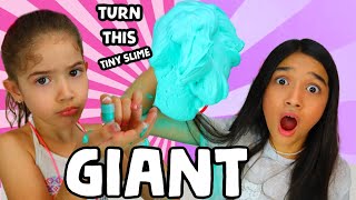 TURN THIS TINY SLIME INTO A GIANT SLIME CHALLENGE [upl. by Nylra489]