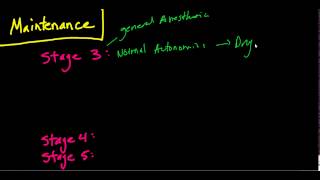 The Stages of Anesthesia The Basics Guedels Classificaiton [upl. by Padraic444]