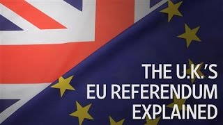 Brexit 101 The UKs EU Referendum Explained [upl. by Farrand]