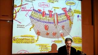 BIOLOGY CYTOLOGY PART 1 by Professor Fink [upl. by Cheyne]