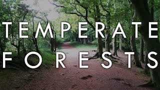 The Temperate Forest Biome  Biomes6 [upl. by Veal]