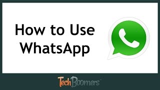 How to Use WhatsApp [upl. by Acinat]