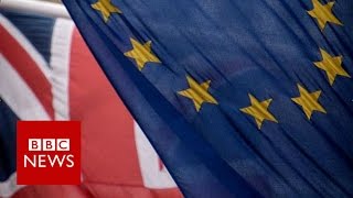 EU referendum What is it BBC News [upl. by Anatak823]