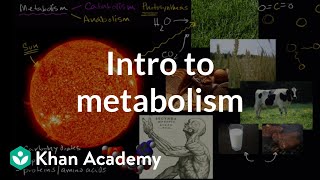 Introduction to metabolism anabolism and catabolism  Khan Academy [upl. by Charmine]