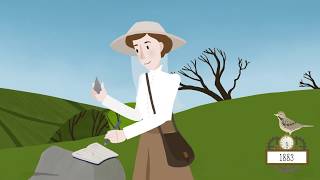 Discover the Dartmoor Story  An animated adventure through time [upl. by Whiting76]