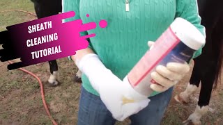 Sheath Cleaning Tutorial for Horses [upl. by Corotto]