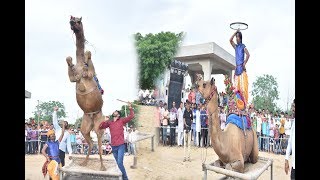 छज्जे ऊपर बोयो री यबाजरो खिल गयो फूल चेमेली को  Chajje upar Boyo Ri Bajro khil by Bhawar Khatana [upl. by Greenwood]