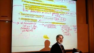 BIOLOGY CYTOLOGY PART 3 by Professor Fink [upl. by Odragde]