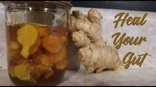 Fermented Honey Ginger  Natural Wellness  Gut Health [upl. by Thetos]