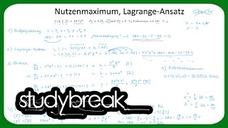 Nutzenmaximum Optimales Konsumgüterbündel LagrangeAnsatz  Mikroökonomie [upl. by Enylodnewg]