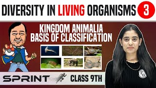 Diversity in Living Organisms 03  Kingdom Animalia  Basis of Classification  Class 9  NCERT [upl. by Airdnala]