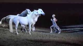 Liberty with 3 horses  Sylvia Zerbini  Night of the Horse 2016  Del Mar National Horse Show [upl. by Fuld]