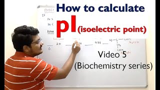 5 How to calculate pI from 3 pKa Values  Amino Acids  Biochemistry [upl. by Clawson]