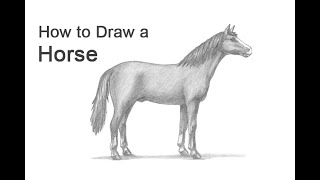 How to Draw a Horse [upl. by Nostrebor]