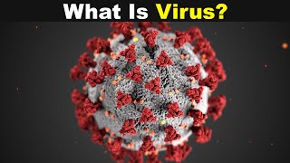 What Is Virus  Type of viruses UrduHindi [upl. by Manolo726]