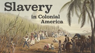 Slavery in Colonial America Explained [upl. by Ahsirtal]