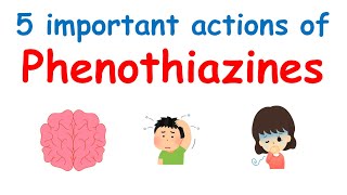 5 important actions of Phenothiazines [upl. by Amabil751]