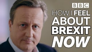 David Cameron finally breaks his silence on Brexit referendum  BBC [upl. by Bennion]