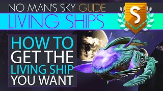 No Mans Sky Living Ship Locations ARE Consistent amp Heres How It Works  Starship Hunting amp Mapping [upl. by Dronel327]