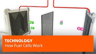 How Fuel Cells Work [upl. by Vyse918]