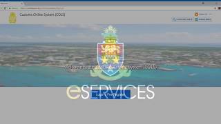 How to use the Customs Online System COLS [upl. by Kciregor754]