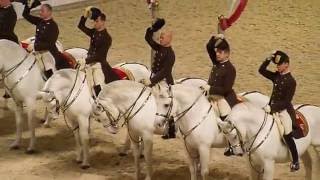 The Spanish Riding School of Vienna 08 [upl. by Gui140]