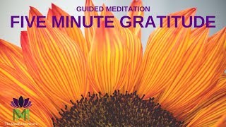 5 Minute Guided Meditation for Gratitude  Mindful Movement [upl. by Aldredge66]