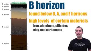 Soil Horizon Types [upl. by Gill870]