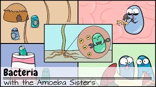 Bacteria Updated [upl. by Ennaihs257]