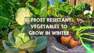 10 Frost Resistant Vegetables to Grow in Winter [upl. by Cicily]