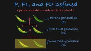 F2 VS PREMIER LEAGUE KEEPER [upl. by Llertnek542]