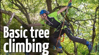 Simple amp safe tree climbing ascent technique [upl. by Moitoso338]