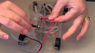 Hydrogen Activity How to Build a Hydrogen Fuel Cell Car [upl. by Hareenum]