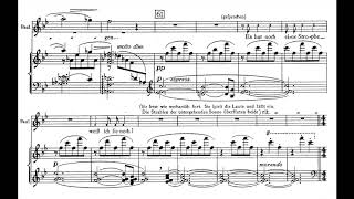 Erich Korngold Mariettas Lied from Die Tote Stadt w Score [upl. by Aremahs]