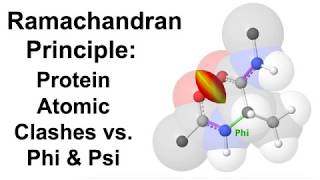 Ramachandran Principle Protein Atomic Clashes vs Phi amp Psi [upl. by Alrrats]