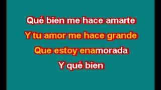 THALIA ESTOY ENAMORADO KARAOKE [upl. by Noma]