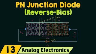 PN Junction Diode ReverseBias Condition [upl. by Ahtinak585]