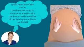 Abdominal Palpation Tutorial for Student Midwives [upl. by Ahseiat]