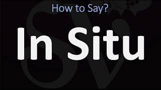 How to Pronounce In Situ CORRECTLY [upl. by Naerad837]