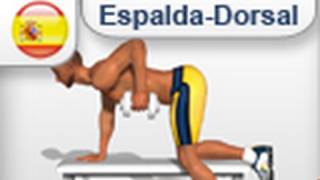 Ejercicio para sacar Musculo Espalda  Dorsales [upl. by Casimir]