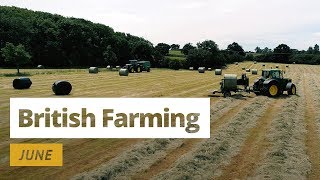 British Farming  12 Months On A UK Farm June [upl. by Eurydice791]