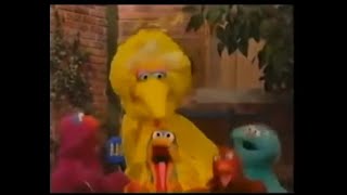 Sesame Street Music Works Wonders [upl. by Adnaugal]