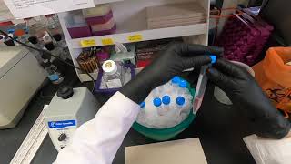 Cell Cycle Analysis by Flow Cytometry [upl. by Bina]