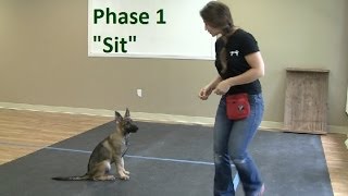 How to Train a Dog to quotSitquot K91com [upl. by Anelad]