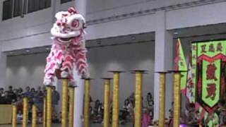 Chinese Lion Dance  Dangerous High Pedestals [upl. by Langelo]