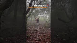 Mahabaleshwar the best hillstation in Maharashtra [upl. by Oreste]