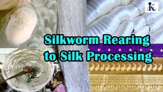 Silkworm rearing to silk processing [upl. by Godspeed]