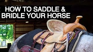 HOW TO TACK UP YOUR HORSE WESTERN [upl. by Gannes]