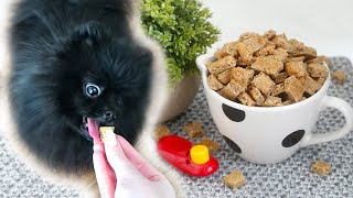 EASY Dog Training Treats Recipe  Quick and Easy Training Treats for Dogs  RECIPE [upl. by Pontus506]