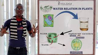 8 Osmosis Biology Form 1 [upl. by Eulalia]